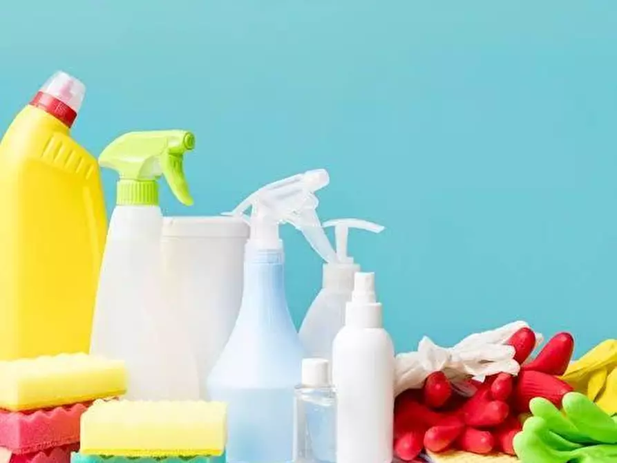 Immagine 4 di Attività commerciale in vendita  a Agrate Brianza