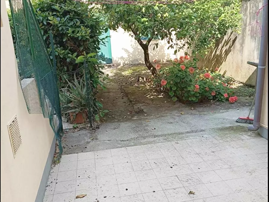 Immagine 16 di Appartamento in vendita  a Viareggio