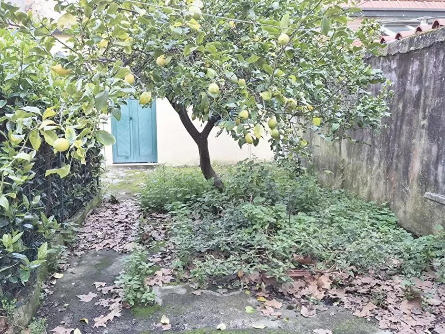 Immagine 14 di Appartamento in vendita  a Viareggio