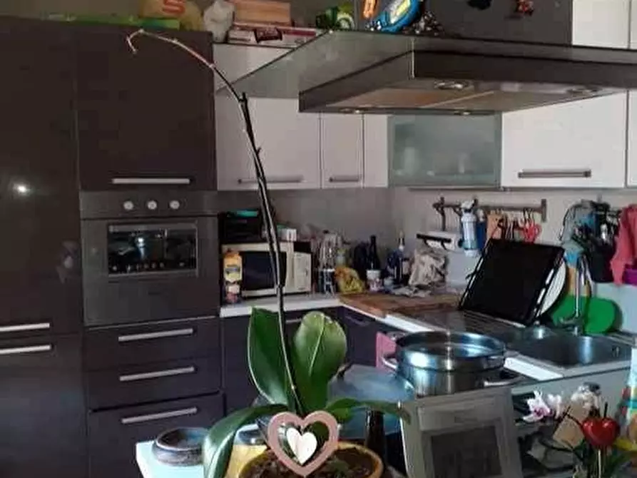 Immagine 11 di Appartamento in vendita  a Alessandria