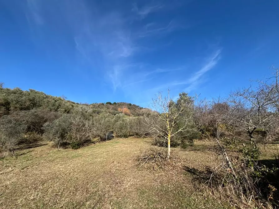 Immagine 3 di Appartamento in vendita  a Chianni