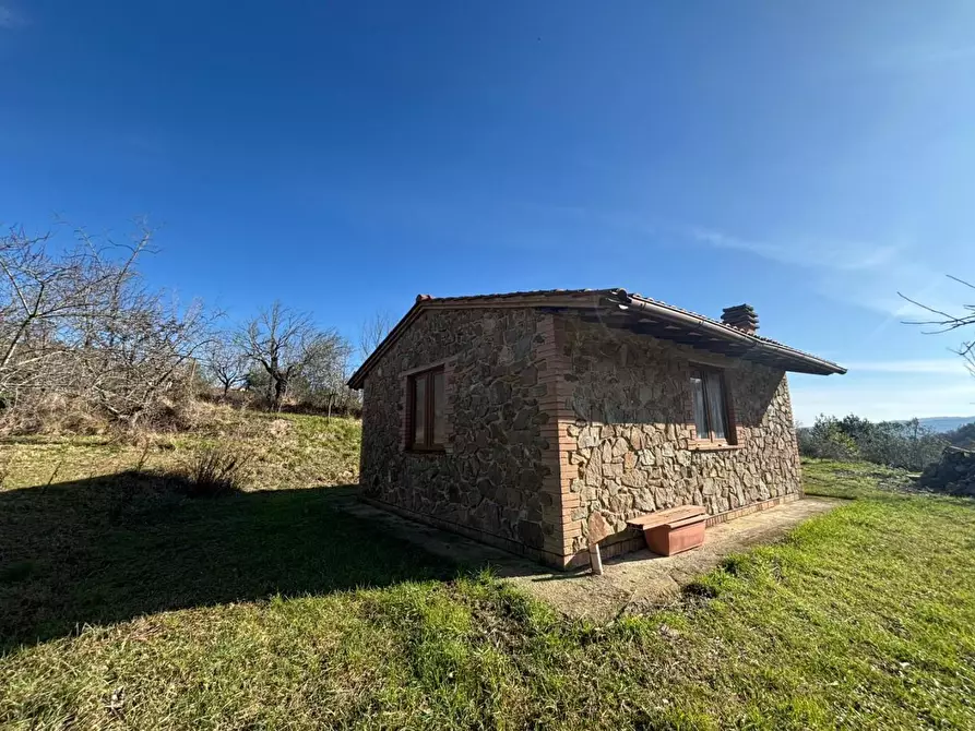 Immagine 11 di Appartamento in vendita  a Chianni