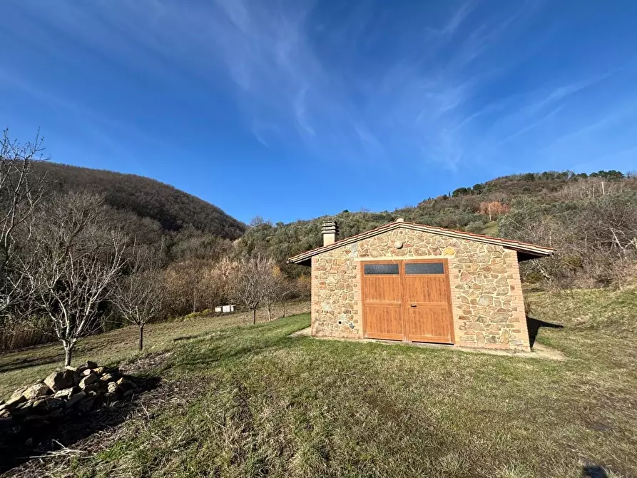 Immagine 2 di Appartamento in vendita  a Chianni