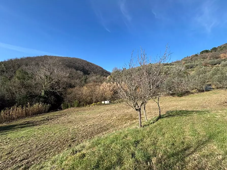 Immagine 12 di Appartamento in vendita  a Chianni