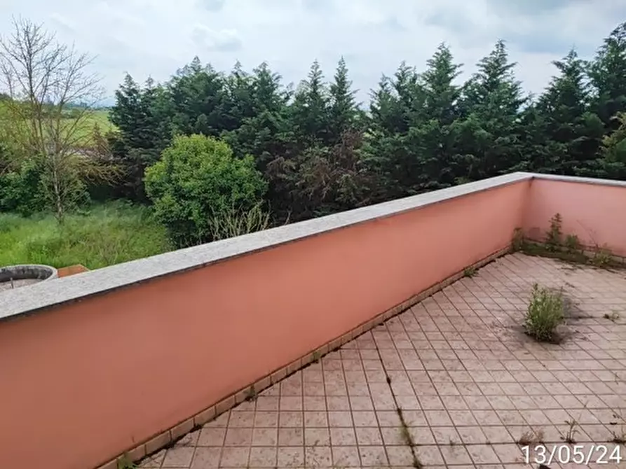 Immagine 31 di Appartamento in vendita  a Alessandria