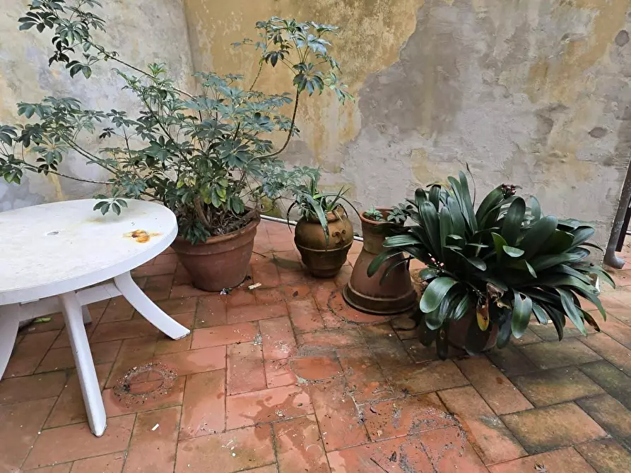 Immagine 23 di Appartamento in affitto  a Pisa