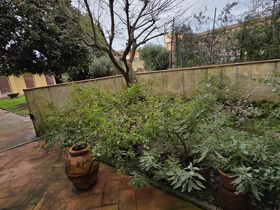 Immagine 21 di Appartamento in affitto  a Pisa