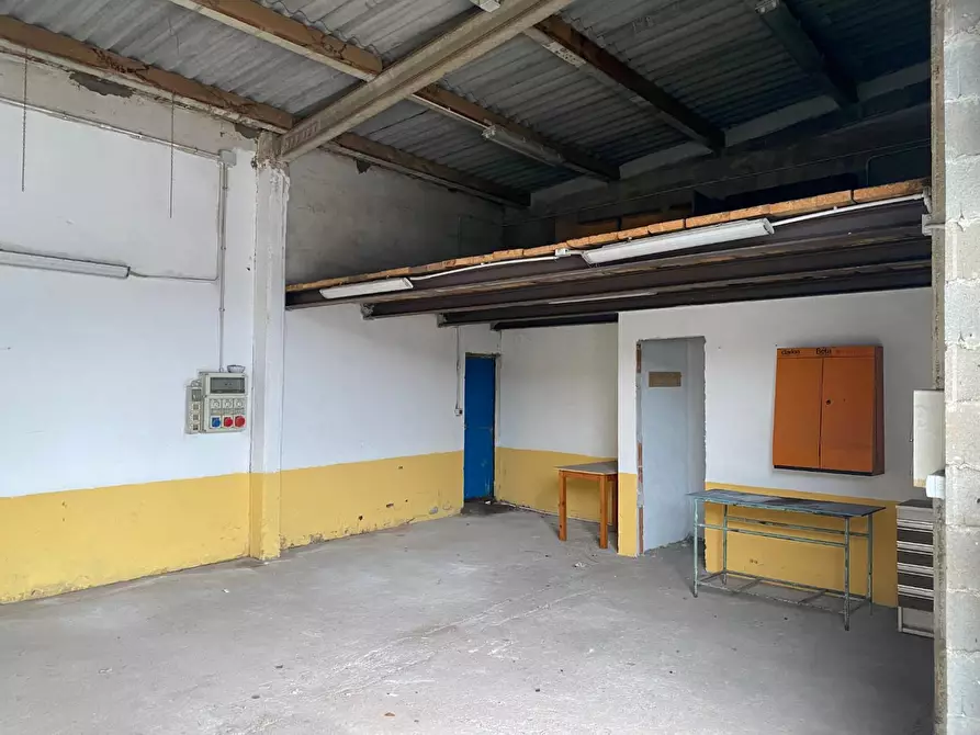 Immagine 1 di Attività artigianale in affitto  a San Giuliano Terme