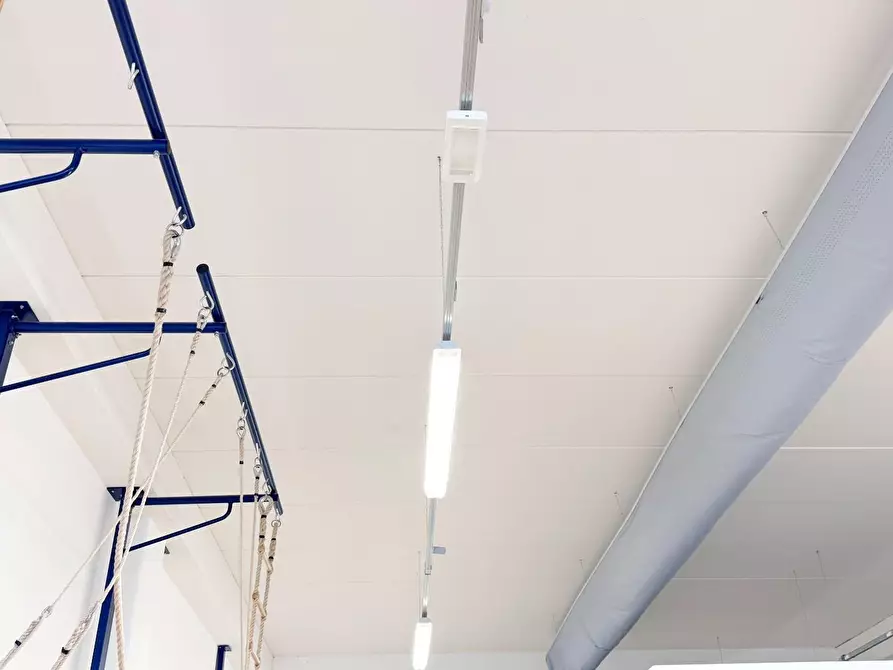 Immagine 13 di Locale commerciale in affitto  a Pontedera