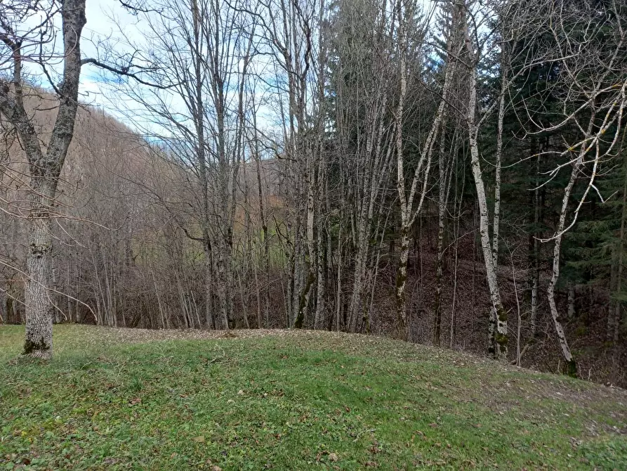 Immagine 2 di Casa bifamiliare in vendita  a Pievepelago