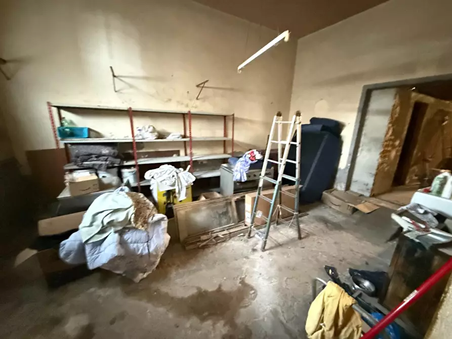 Immagine 18 di Terratetto in vendita  a Terricciola