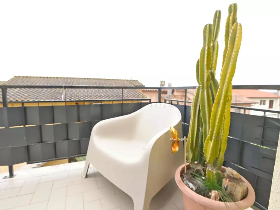 Immagine 54 di Appartamento in vendita  a Piombino