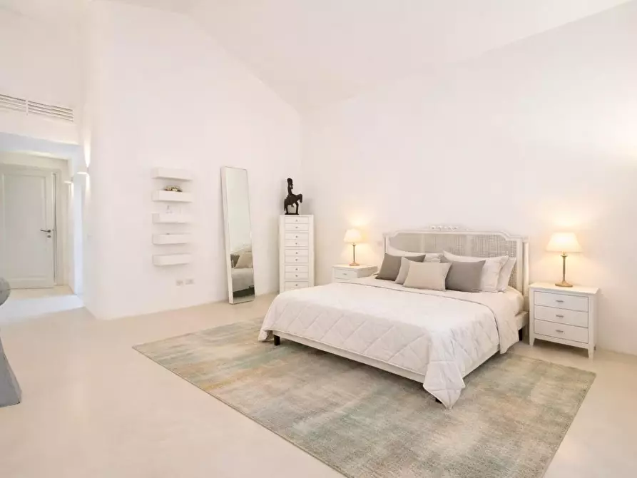 Immagine 16 di Villa in affitto  a Forte Dei Marmi