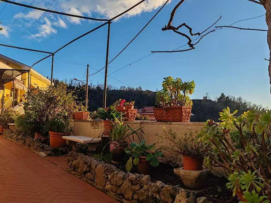 Immagine 1 di Terratetto in vendita  a Carrara