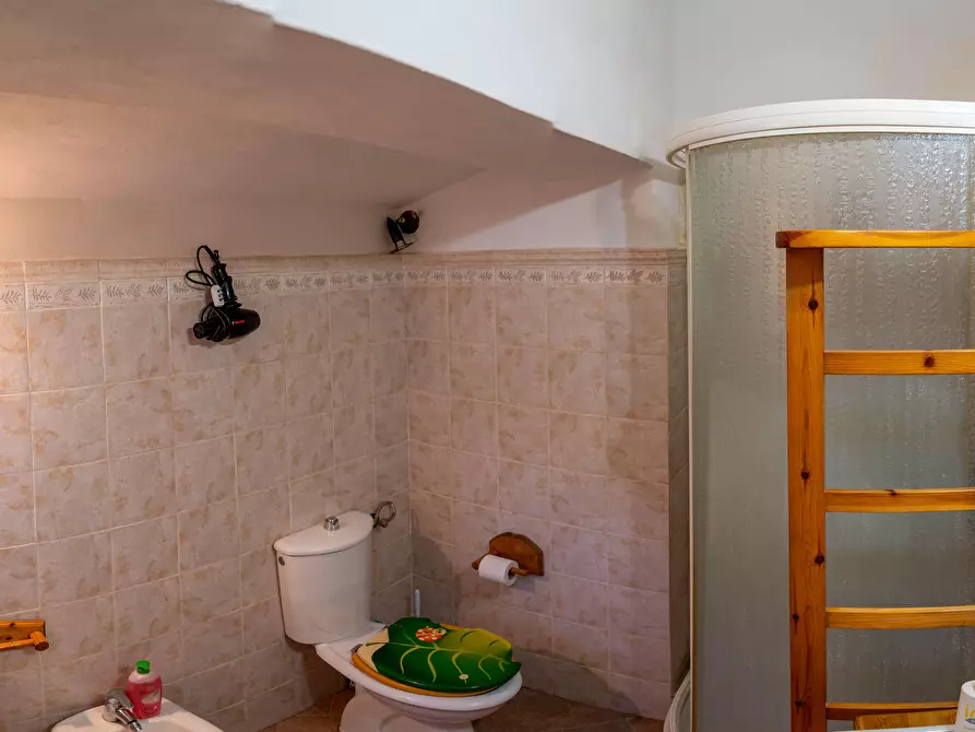 Immagine 17 di Appartamento in vendita  a Santa Luce