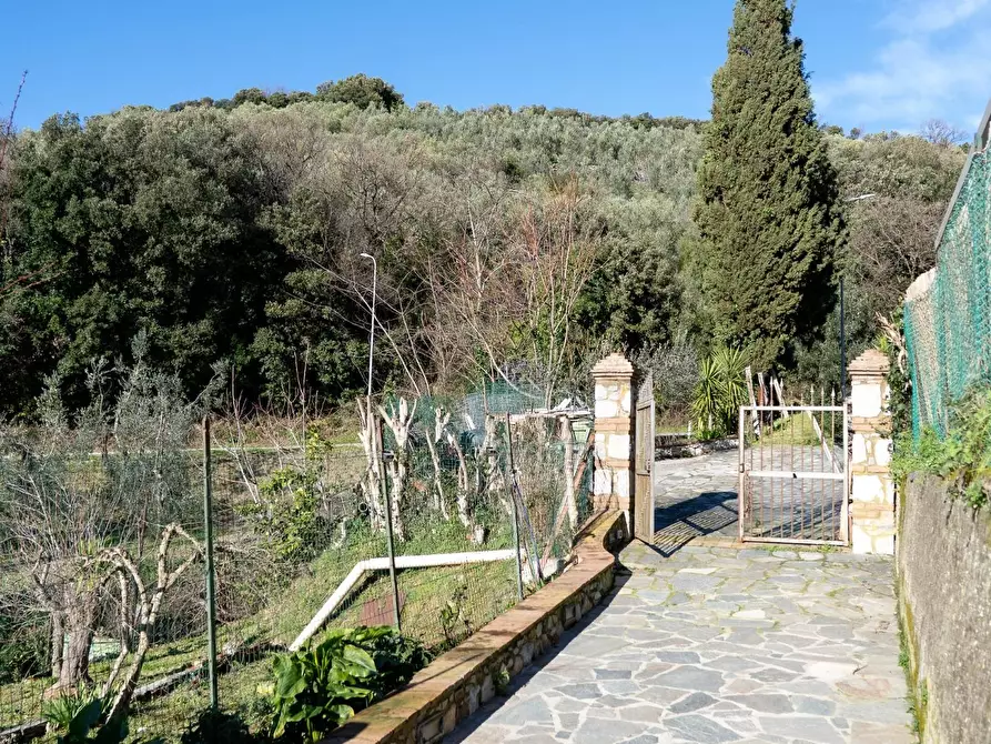 Immagine 1 di Appartamento in vendita  a Santa Luce