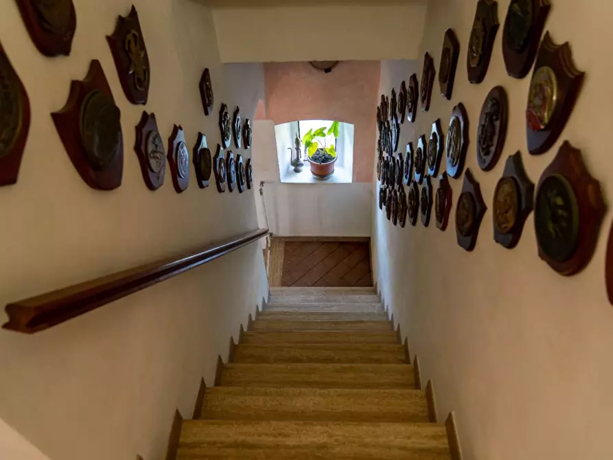 Immagine 19 di Appartamento in vendita  a Santa Luce