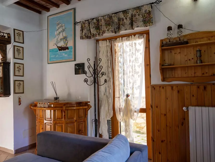 Immagine 6 di Appartamento in vendita  a Santa Luce