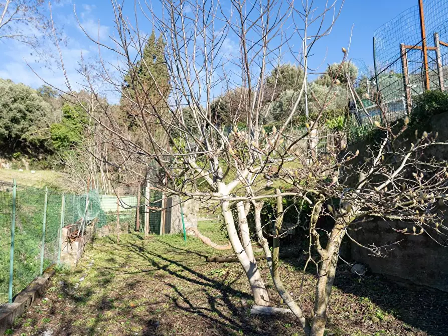 Immagine 23 di Appartamento in vendita  a Santa Luce