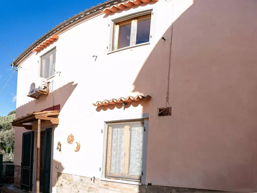 Immagine 3 di Appartamento in vendita  a Santa Luce