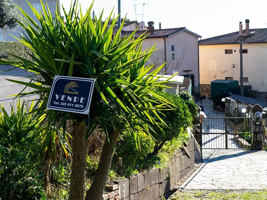 Immagine 24 di Appartamento in vendita  a Santa Luce