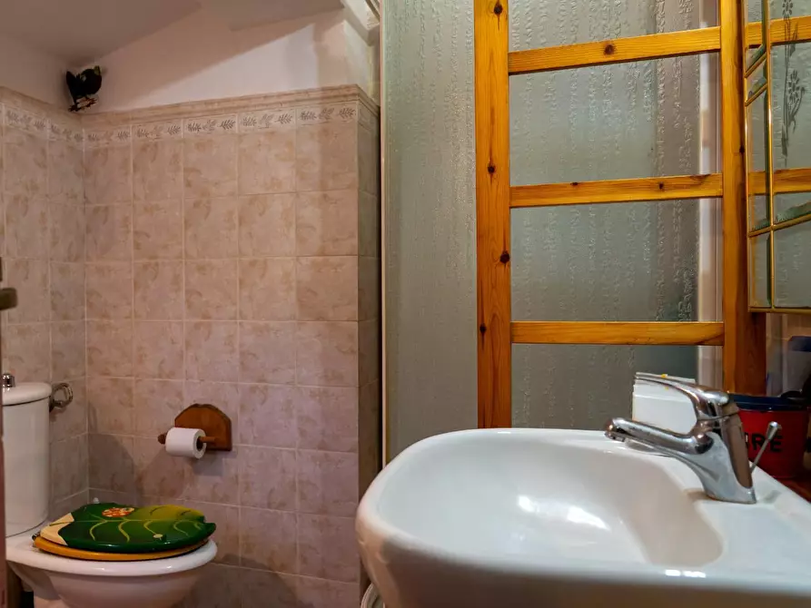 Immagine 18 di Appartamento in vendita  a Santa Luce