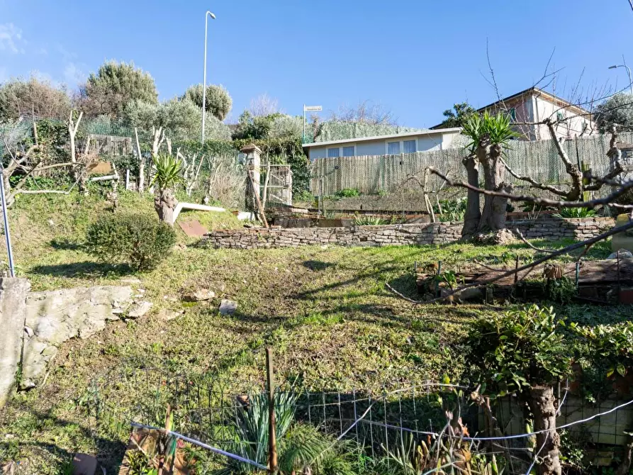 Immagine 22 di Appartamento in vendita  a Santa Luce