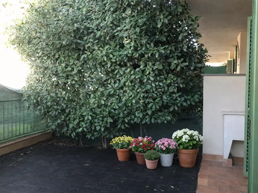 Immagine 6 di Appartamento in vendita  a Lucca