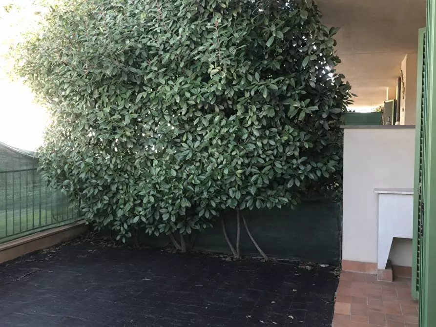 Immagine 7 di Appartamento in vendita  a Lucca