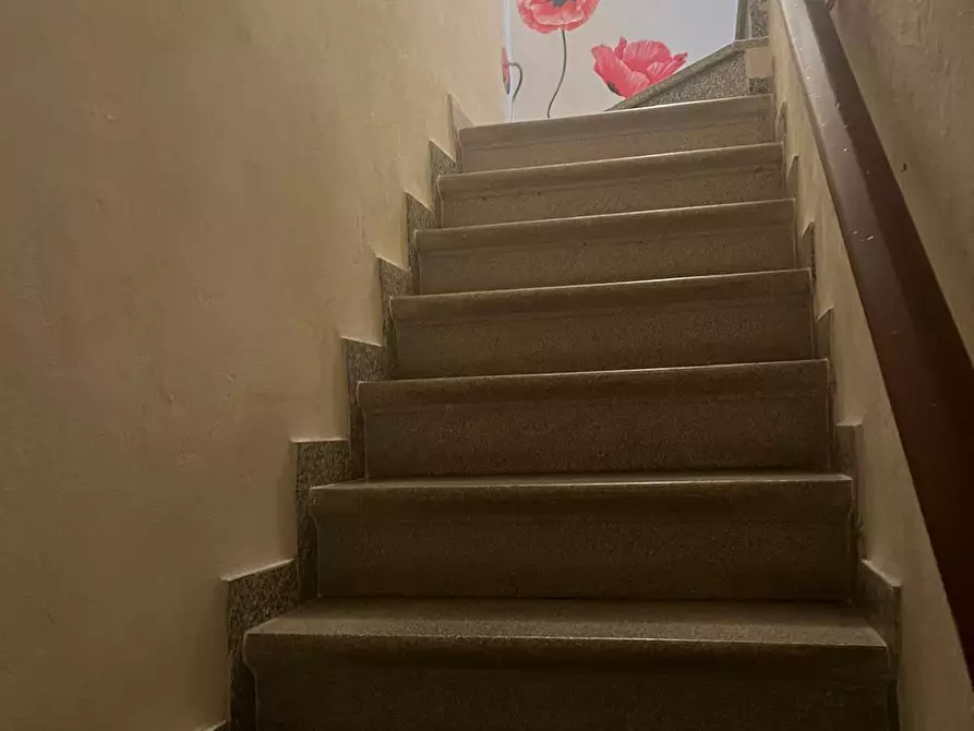 Immagine 6 di Terratetto in vendita  a Lucca