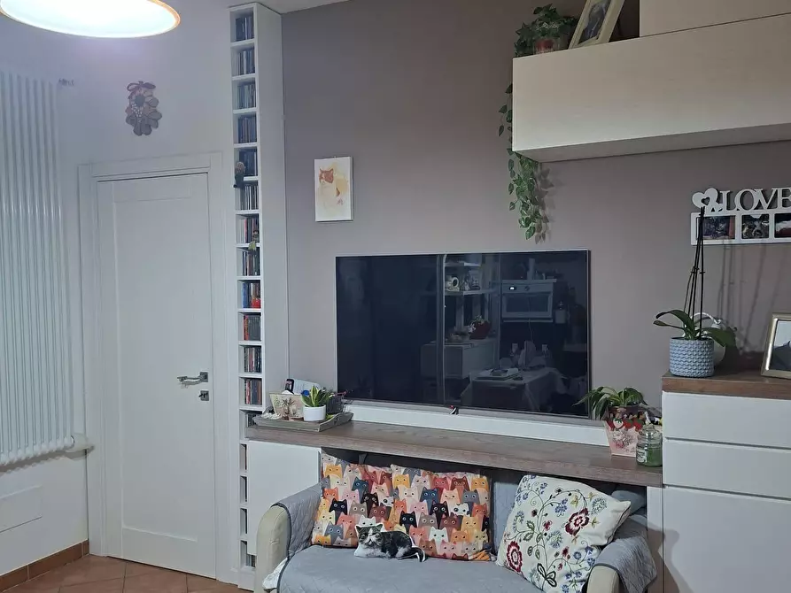 Immagine 51 di Appartamento in vendita  a Collesalvetti