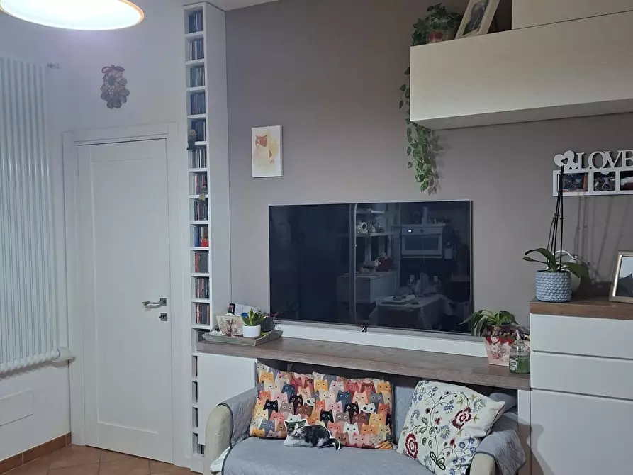 Immagine 50 di Appartamento in vendita  a Collesalvetti