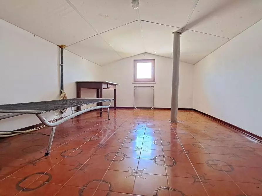 Immagine 14 di Appartamento in vendita  a Rosignano Marittimo