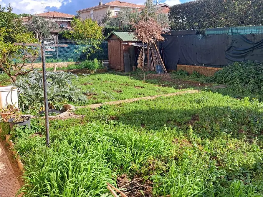 Immagine 19 di Appartamento in vendita  a Rosignano Marittimo