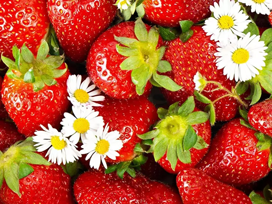 Immagine 2 di Alimentari in vendita  a Empoli