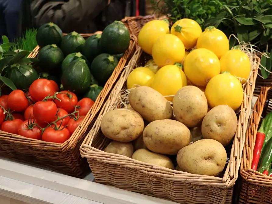 Immagine 6 di Alimentari in vendita  a Empoli