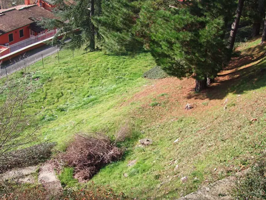 Immagine 46 di Villa in vendita  a Dicomano