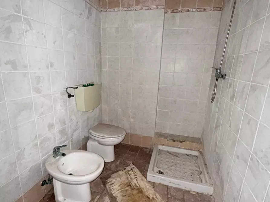 Immagine 6 di Appartamento in vendita  a Peccioli