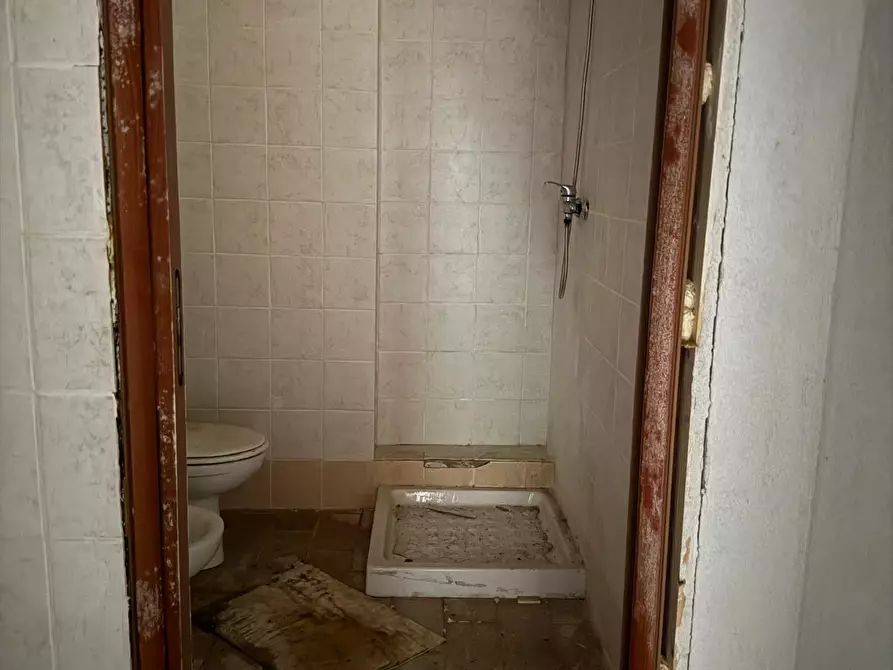 Immagine 5 di Appartamento in vendita  a Peccioli