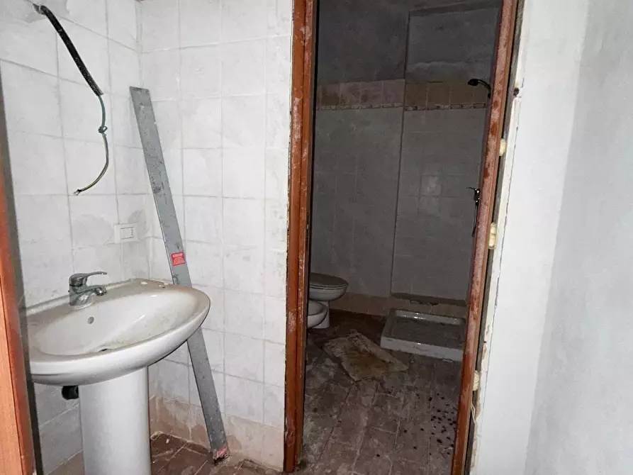 Immagine 4 di Appartamento in vendita  a Peccioli