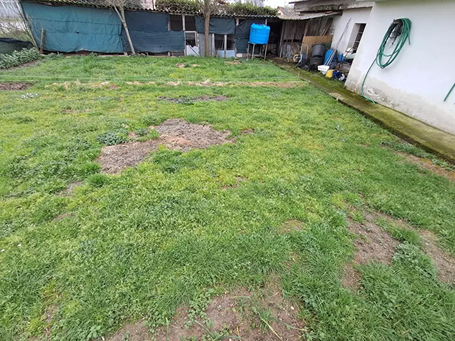 Immagine 36 di Terratetto in vendita  a Crespina Lorenzana