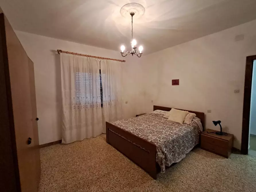 Immagine 6 di Terratetto in vendita  a Crespina Lorenzana