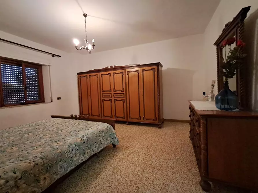 Immagine 16 di Terratetto in vendita  a Crespina Lorenzana