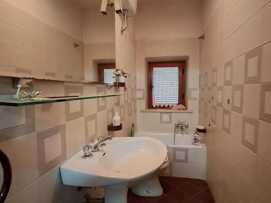 Immagine 43 di Terratetto in vendita  a Crespina Lorenzana