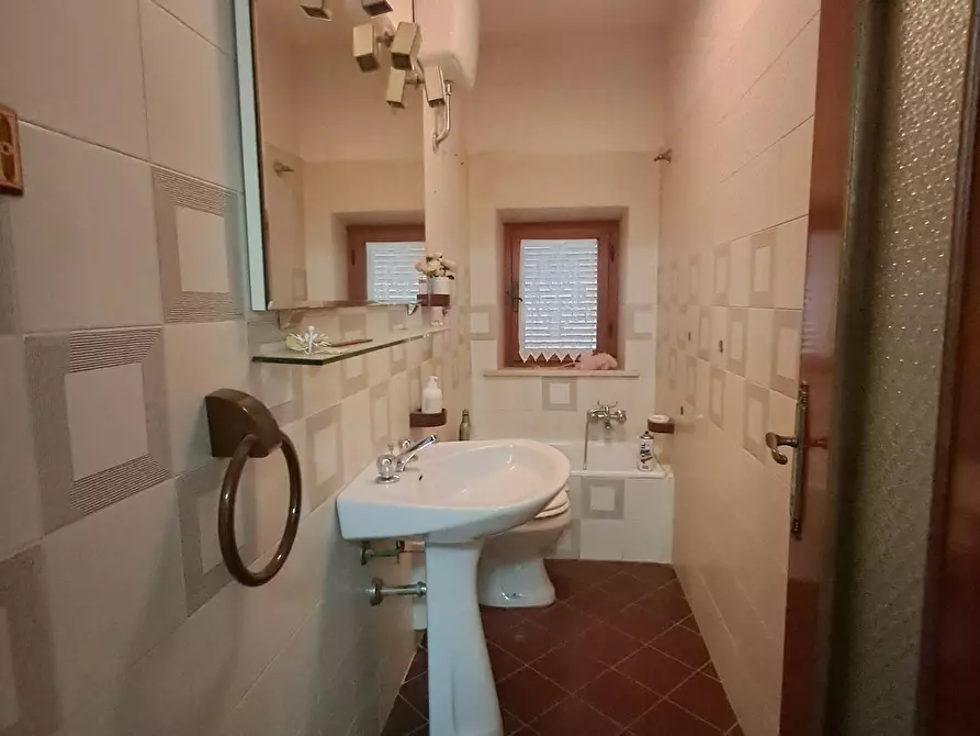 Immagine 45 di Terratetto in vendita  a Crespina Lorenzana