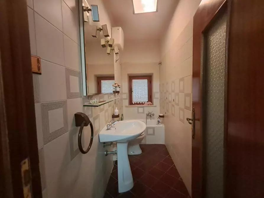 Immagine 42 di Terratetto in vendita  a Crespina Lorenzana