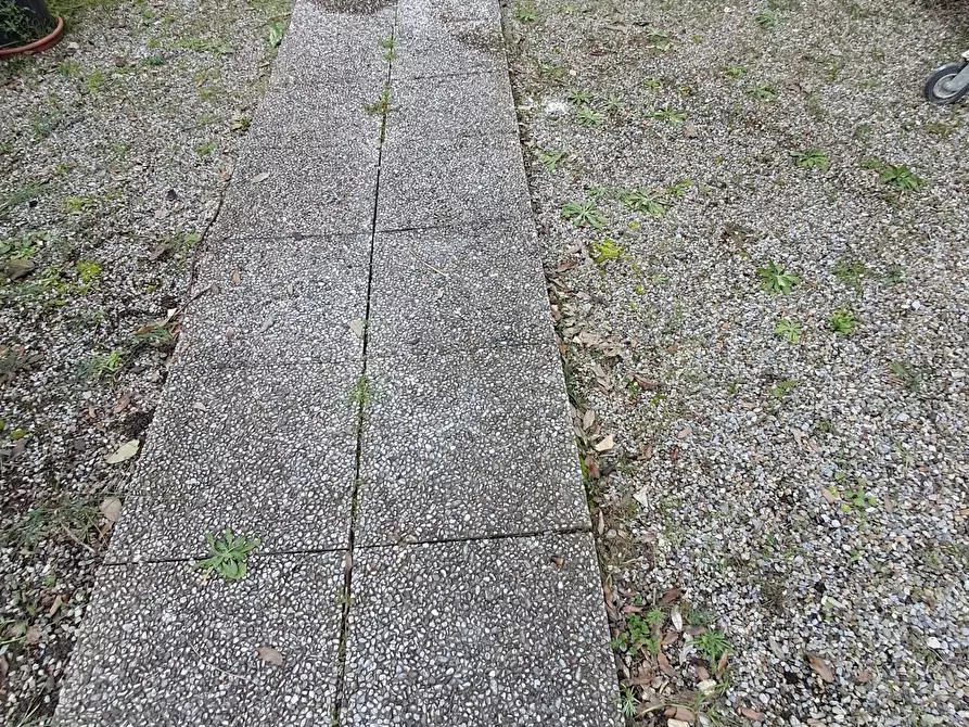 Immagine 18 di Terratetto in vendita  a Crespina Lorenzana