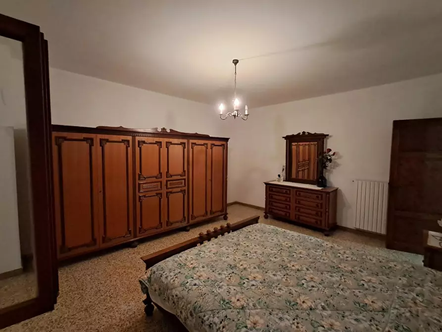 Immagine 9 di Terratetto in vendita  a Crespina Lorenzana