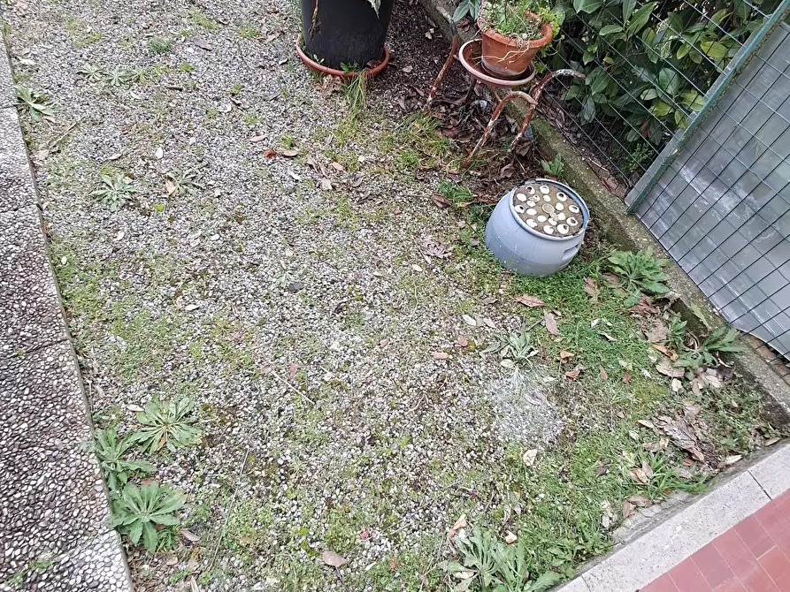 Immagine 1 di Terratetto in vendita  a Crespina Lorenzana