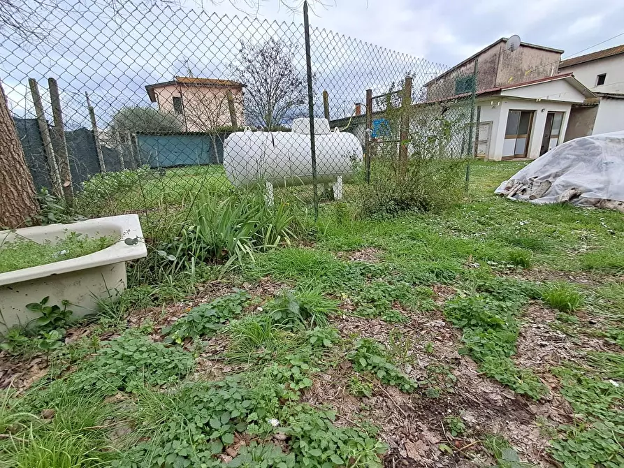 Immagine 33 di Terratetto in vendita  a Crespina Lorenzana